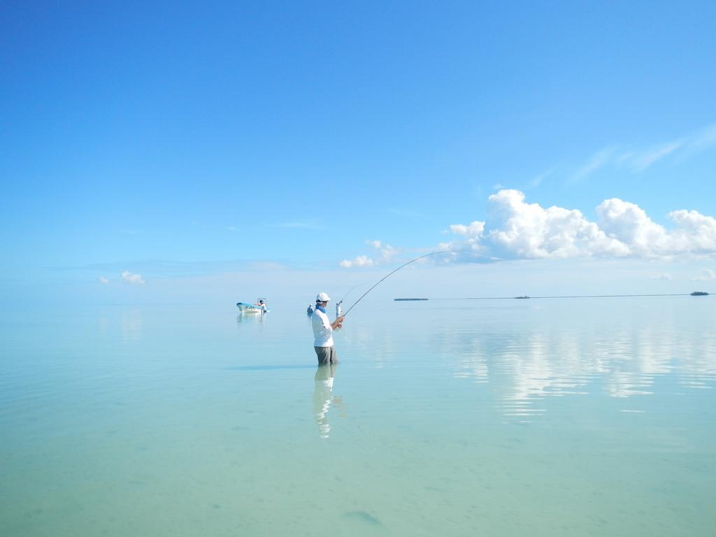 Casa Pascale Hotel Punta Allen Bilik gambar